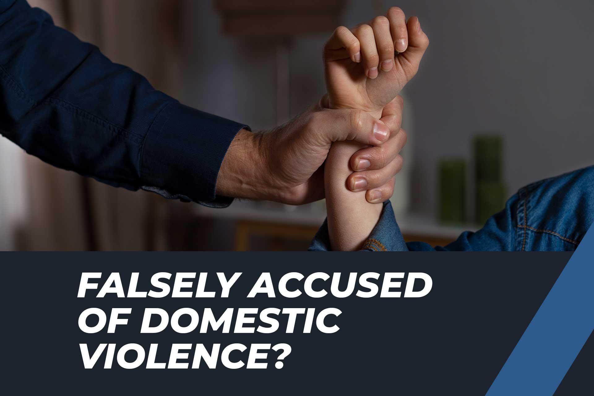 False Allegations of Domestic Violence Harm Real Victims