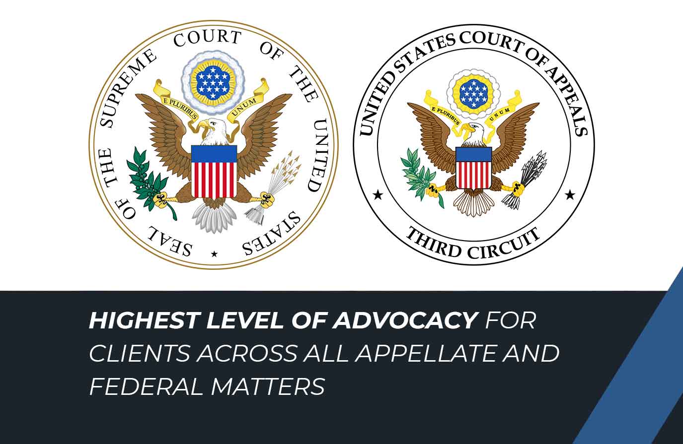 highest level of advocacy for clients across all appellate and federal matters